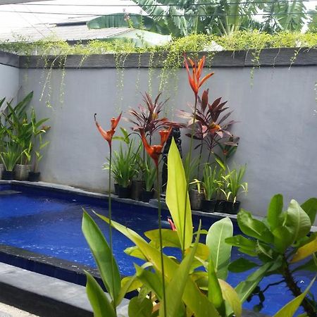 Star Bali Guest House Canggu  Ngoại thất bức ảnh